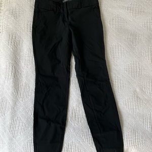 The limited dress pants